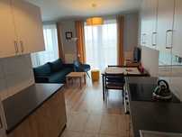 1 pokojowe mieszkanie wynajmę